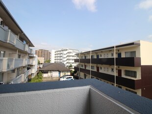 パールハイツ大橋Ⅱの物件内観写真